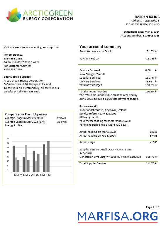 Realistic Iceland Arctic Green Energy Corporation electricity business utility bill template in Word and PDF